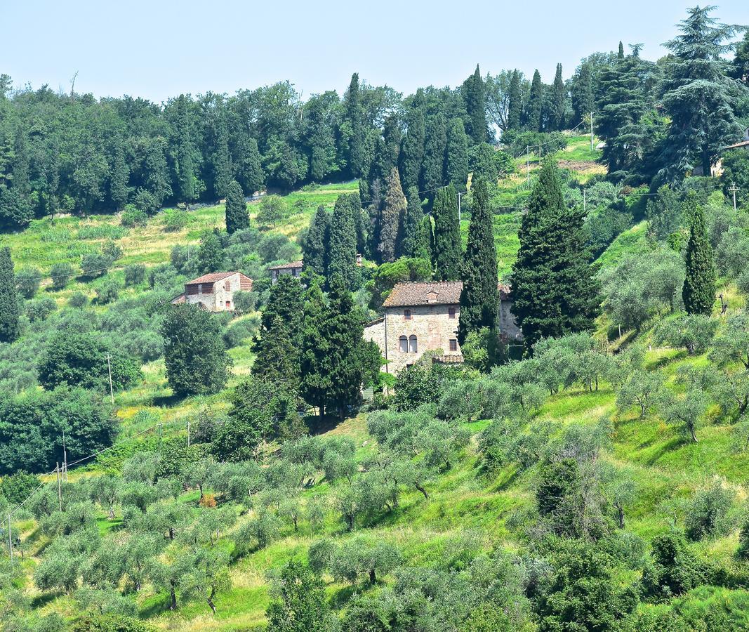 Palazzina Del Chiasso Bed & Breakfast San Martino in Freddana Dış mekan fotoğraf