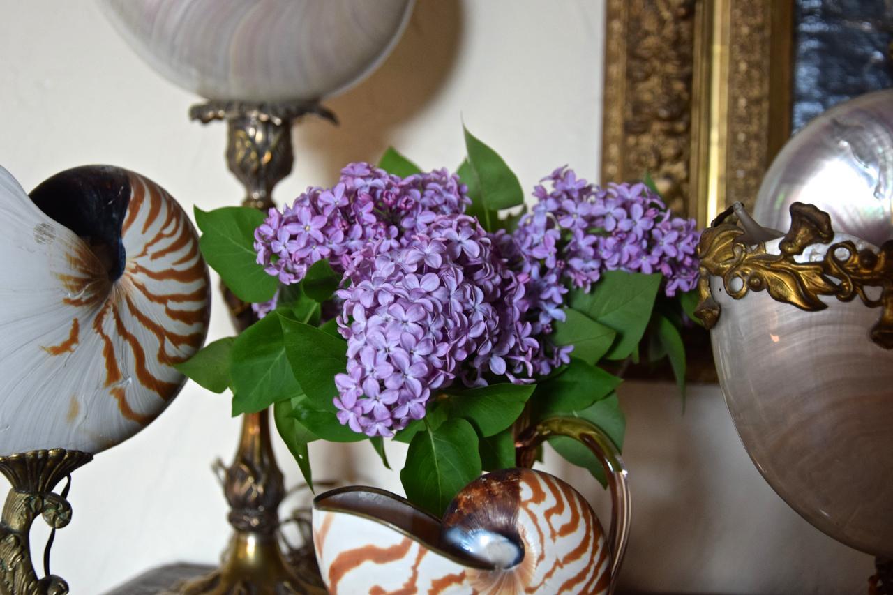 Palazzina Del Chiasso Bed & Breakfast San Martino in Freddana Dış mekan fotoğraf