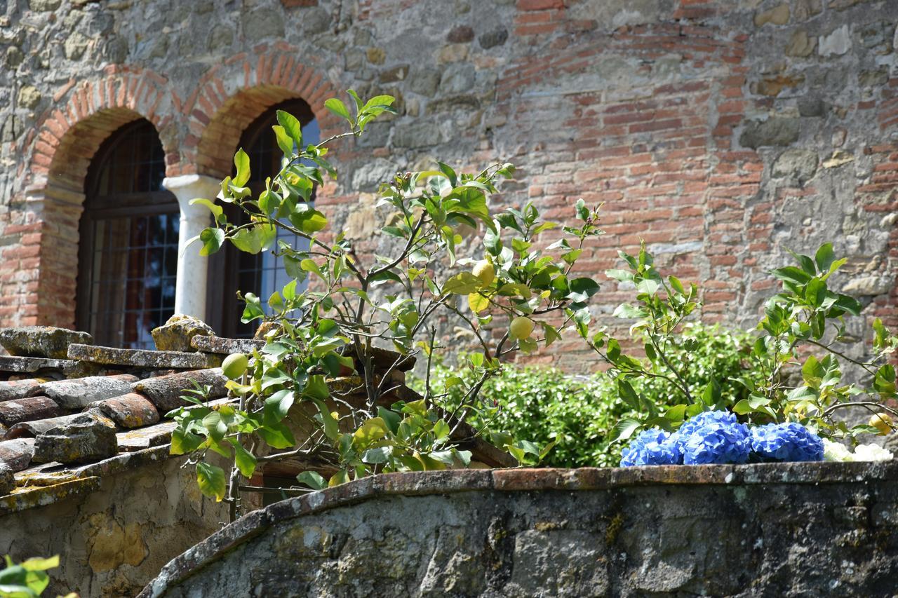 Palazzina Del Chiasso Bed & Breakfast San Martino in Freddana Dış mekan fotoğraf