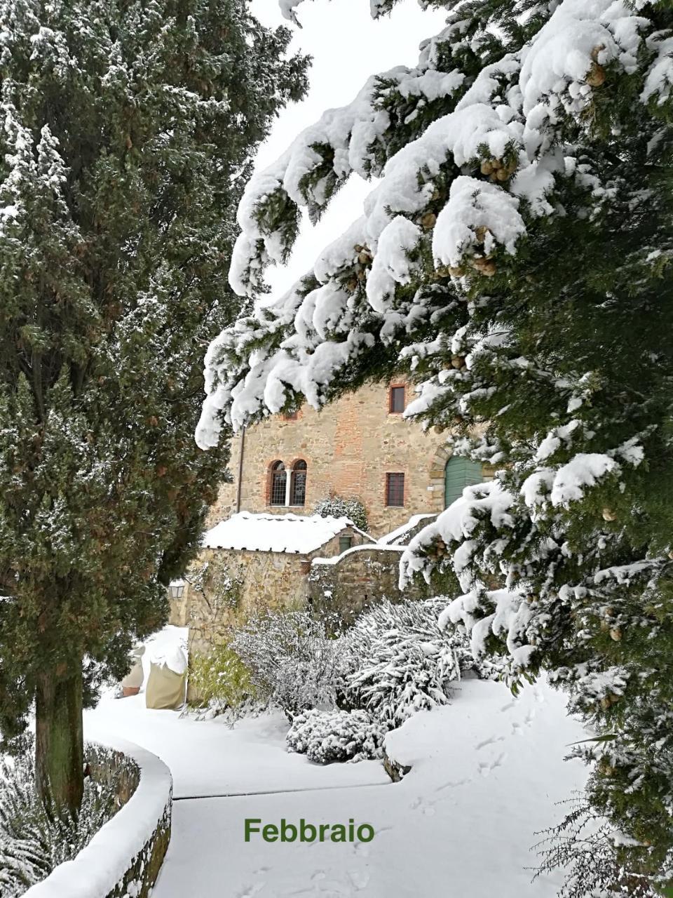 Palazzina Del Chiasso Bed & Breakfast San Martino in Freddana Dış mekan fotoğraf